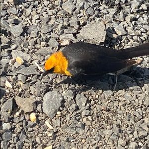 Meet your Posher, Sean